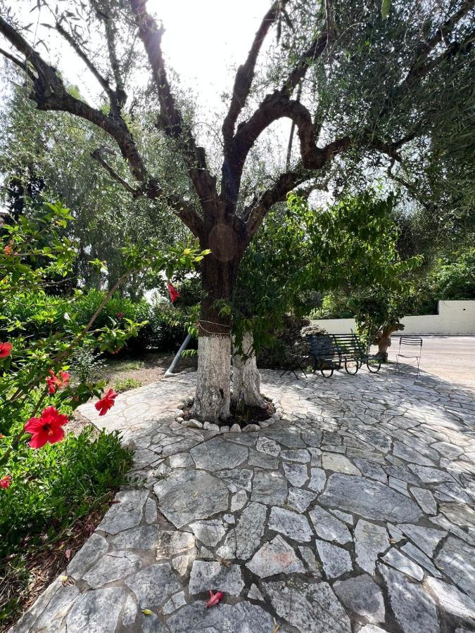 Lithino Apartments - 5Min From The Beach Agios Ioannis Peristerion Esterno foto