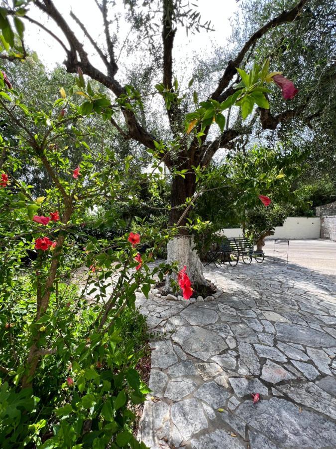 Lithino Apartments - 5Min From The Beach Agios Ioannis Peristerion Esterno foto